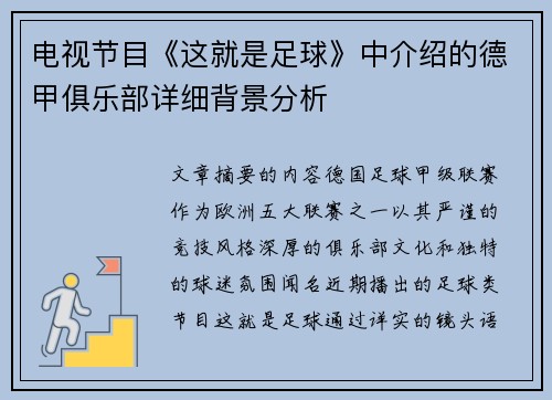 电视节目《这就是足球》中介绍的德甲俱乐部详细背景分析