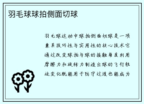 羽毛球球拍侧面切球